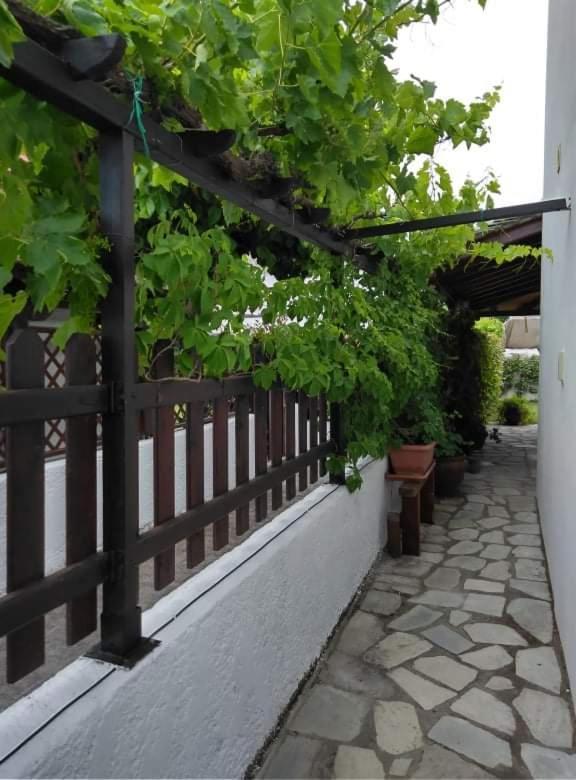 Starfish Koropi Pelion Milies South Pelion Villa Exterior photo